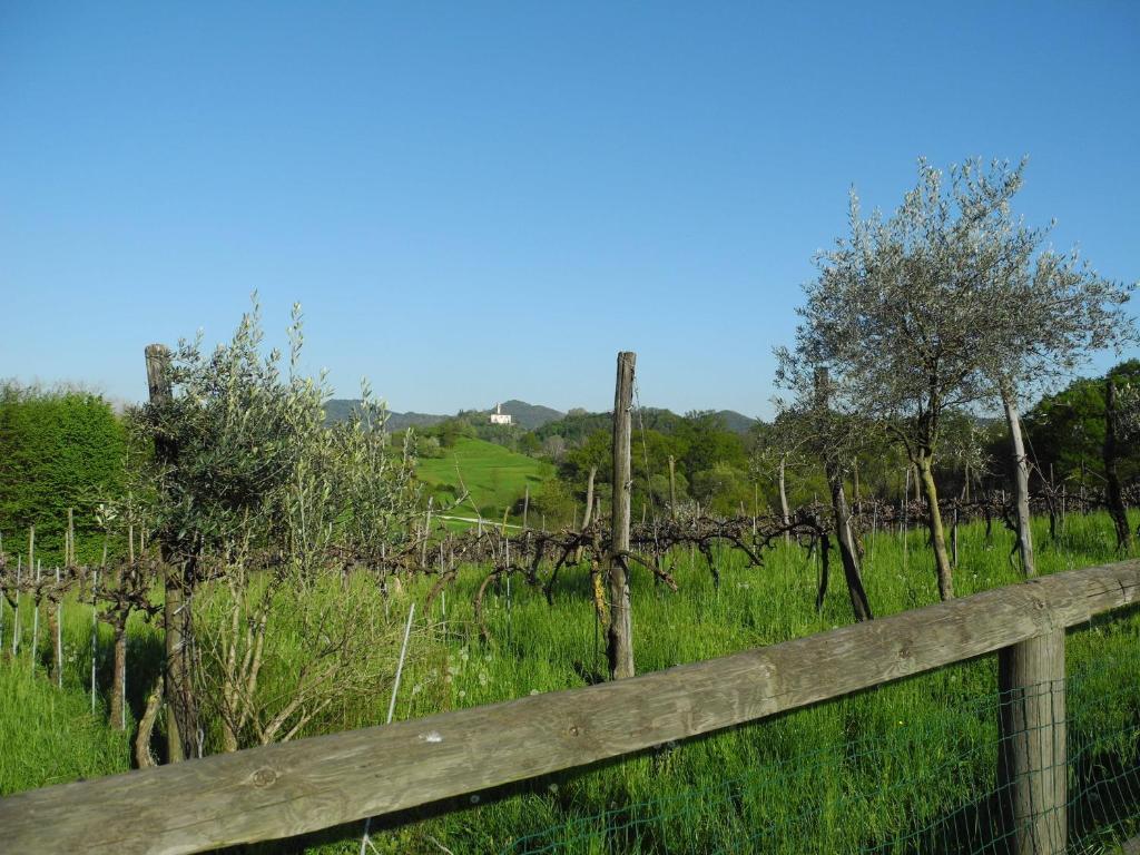Agriturismo Cornolere Βίλα Castelcucco Εξωτερικό φωτογραφία