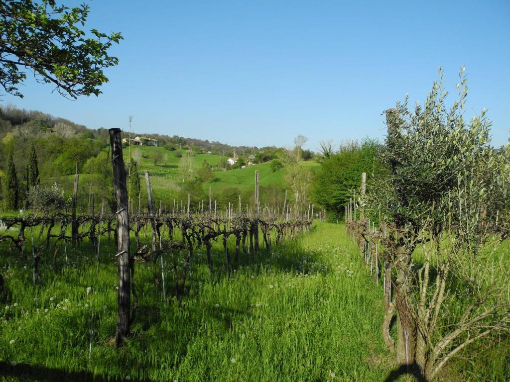 Agriturismo Cornolere Βίλα Castelcucco Εξωτερικό φωτογραφία